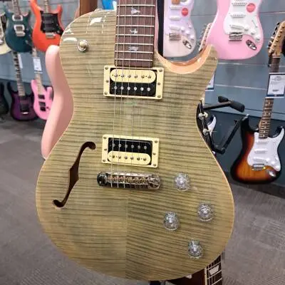 Paul Reed Smith - ZM2TG 2